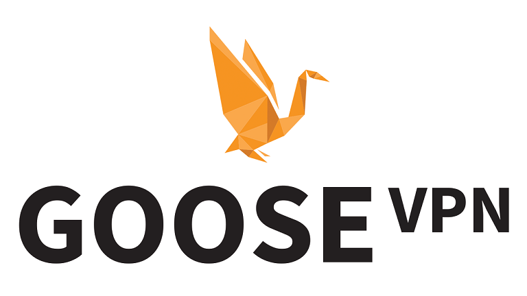 goose vpn review
